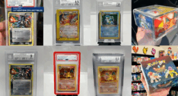 Thief steals $170,000 of Pokémon cards from US store