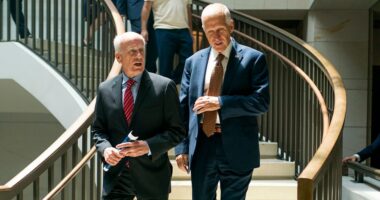 Tillis's freedom to 'call balls and strikes' hands GOP leaders fresh headache 