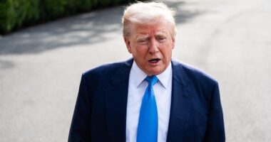 Trump Approval Rating Down 8 Points Since Start Of Term