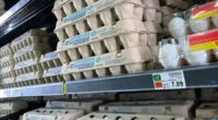 Trump administration sues California over  cost of eggs
