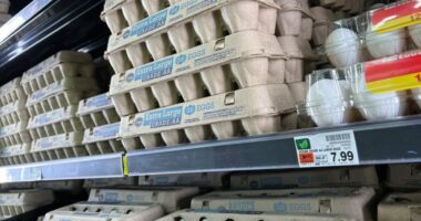 Trump administration sues California over  cost of eggs