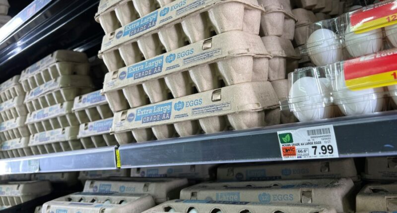 Trump administration sues California over  cost of eggs
