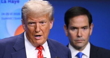 Trump begins mass government layoffs amid his war against 'Deep State'