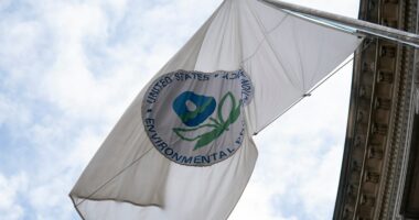 Trump exempts more than 100 polluters from environmental standards