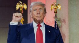 Trump fires back at reports he's trying to destroy Musk's companies