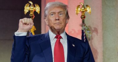 Trump fires back at reports he's trying to destroy Musk's companies