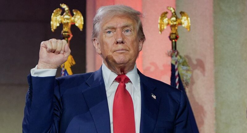 Trump fires back at reports he's trying to destroy Musk's companies