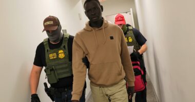 Trump flexes unprecedented power with new 'national police force' shaking up the country