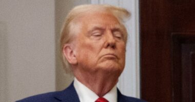 Trump has new billionaire best buddy...and he's set to be even more powerful than exiled Elon Musk