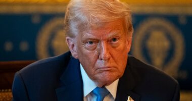 Trump haters Joy Reid and Jim Acosta share most outlandish theory yet about what president will do next