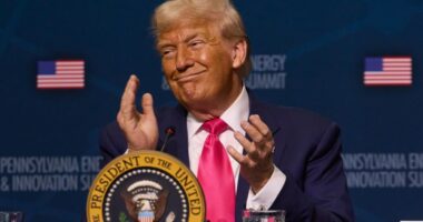 Trump marks 6 months in office: 'Totally revived a major Country'