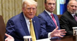 Trump offers surprising take on Elon Musk's proposed new third party