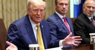 Trump offers surprising take on Elon Musk's proposed new third party