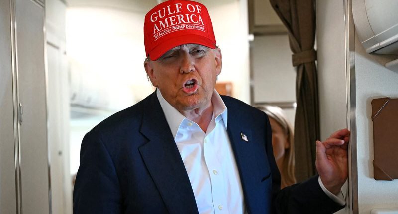 Trump outs himself as source spilling on 'crazy' Elon as top adviser blames rants on 'ketamine talking'