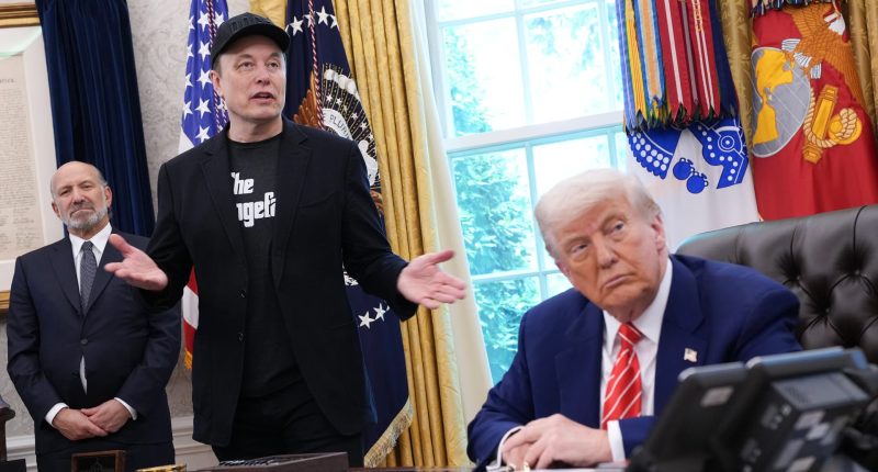 Trump takes aim at Elon Musk for forming a new political party