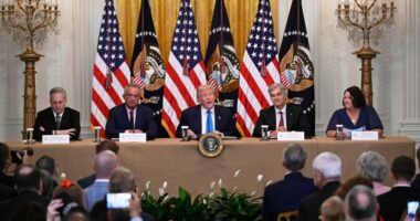 Trump unveils medical data initiative: 'Health care into the digital age'