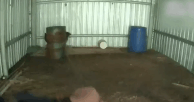 Two men found hiding in barrels after police chase