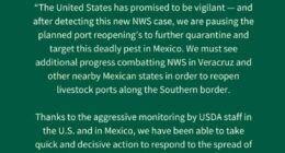 UPDATE: US again halts imports of Mexican cattle