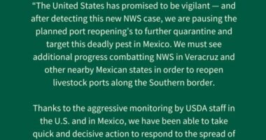 UPDATE: US again halts imports of Mexican cattle