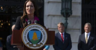 USDA will ban farmland purchases by Chinese nationals