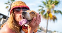 Vet clinic worker shares top dog breeds for first-time owners