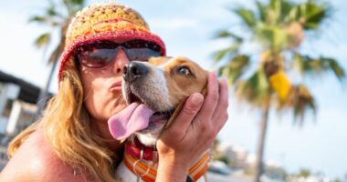 Vet clinic worker shares top dog breeds for first-time owners