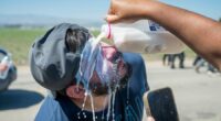 Veteran arrested in immigration raid warns it could happen to anyone