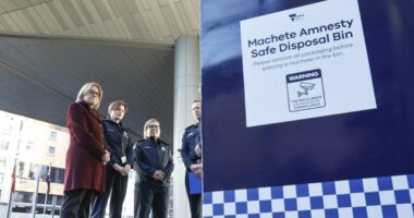 Victoria to roll out 40 machete disposal bins in statewide amnesty