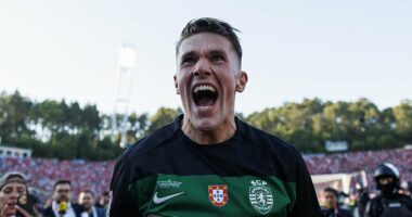 Viktor Gyokeres set the world alight at Sporting Lisbon after proving to be Brighton's biggest ever mistake... why Arsenal are throwing £70m at Europe's hottest striker