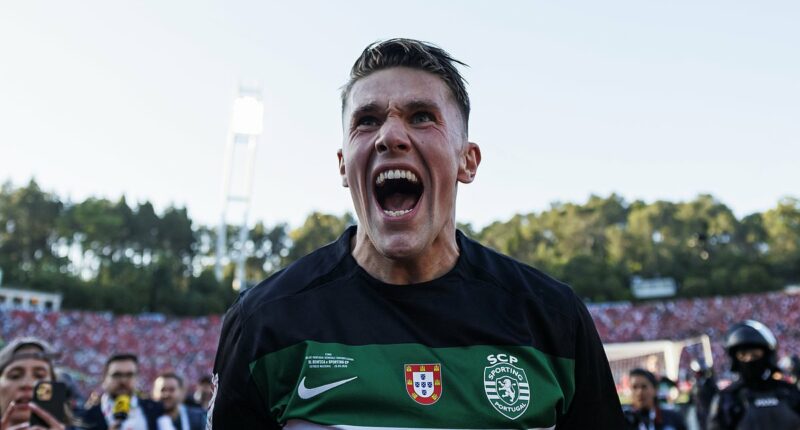 Viktor Gyokeres set the world alight at Sporting Lisbon after proving to be Brighton's biggest ever mistake... why Arsenal are throwing £70m at Europe's hottest striker