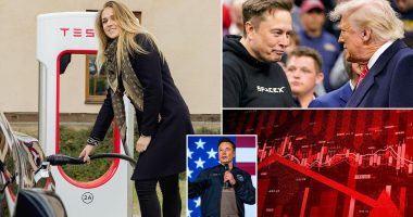 Wall Street punishes Tesla as Musk starts an anti-Trump political party: 'Off the rails'