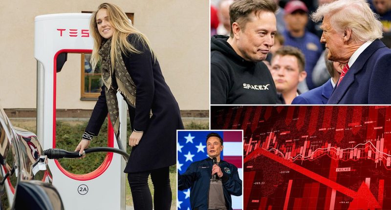 Wall Street punishes Tesla as Musk starts an anti-Trump political party: 'Off the rails'