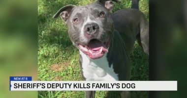 Watch: Bodycam footage shows Missouri deputy shoot family dog