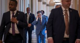 What's in the Republican bill cutting $9 billion from public broadcasting and foreign aid