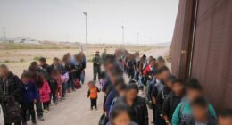White House: $40 Billion in Benefit Programs Protected from Illegals