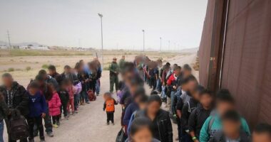 White House: $40 Billion in Benefit Programs Protected from Illegals