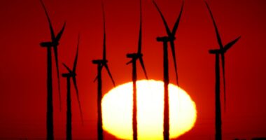 Who gains or loses from new federal rules on wind, solar projects?