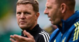 Why Is Newcastle United Struggling So Badly To Take The Next Step?