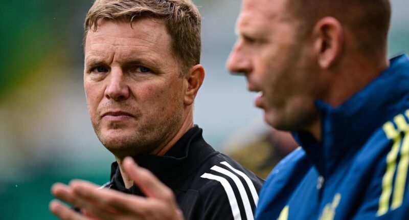 Why Is Newcastle United Struggling So Badly To Take The Next Step?
