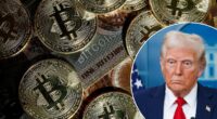 Why bitcoin has gained more than 70% since Trump was elected - and his 'genius' act could fuel it further