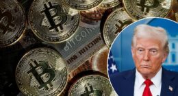 Why bitcoin has gained more than 70% since Trump was elected - and his 'genius' act could fuel it further