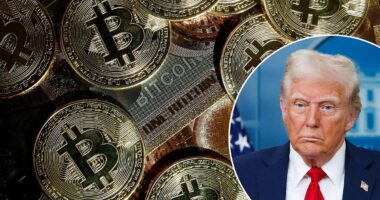 Why bitcoin has gained more than 70% since Trump was elected - and his 'genius' act could fuel it further