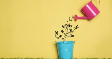 Why investing matters: How to build your wealth and beat inflation