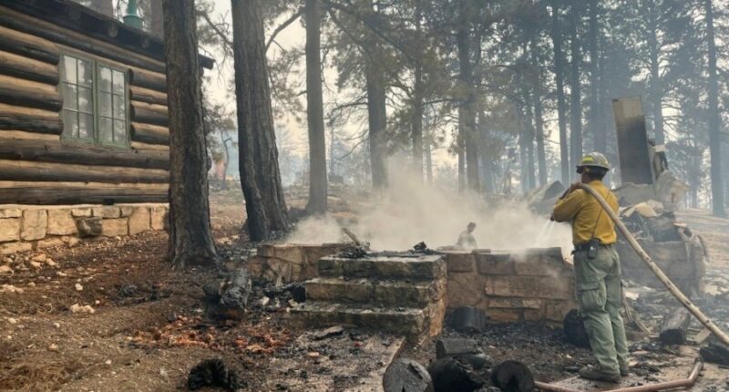 Wildfire destroys a historic Grand Canyon lodge and other structures