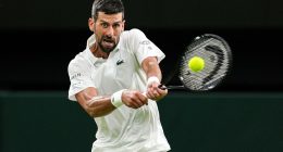 Wimbledon tennis star Novak Djokovic's 'insanely healthy diet' that keeps him in shape