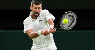 Wimbledon tennis star Novak Djokovic's 'insanely healthy diet' that keeps him in shape