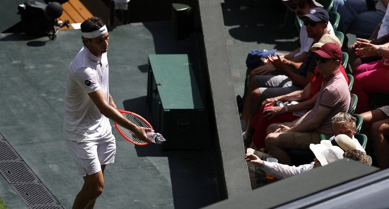 Wimbledon's Centre Court disrupted by emergency and timeouts