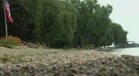 Wisconsin lakes threatened by zebra mussels who carry toxic algae