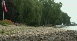 Wisconsin lakes threatened by zebra mussels who carry toxic algae