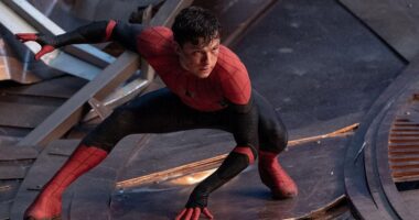 ‘Street-Level’ MCU Spider-Man Is Now Completely Confirmed